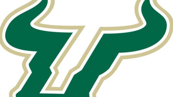 Which sports team logo who plays in Tampa or has Tampa Bay in their name looks the best?