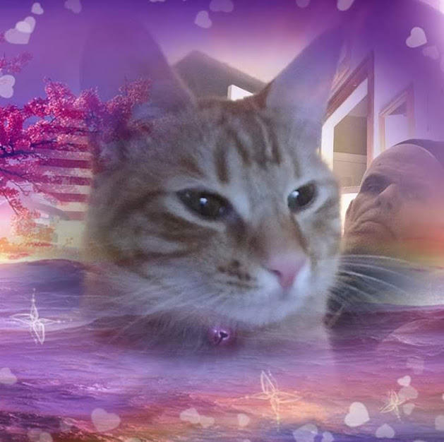 If your pet could talk, what’s one thing they could say that would completely ruin your image forever?