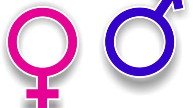 Should transgender be a topic on GaG?