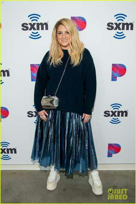 Do you like Meghan Trainors style?