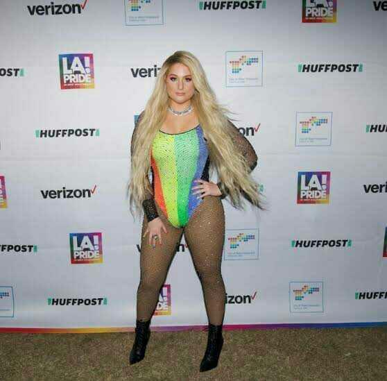 Do you like Meghan Trainors style?