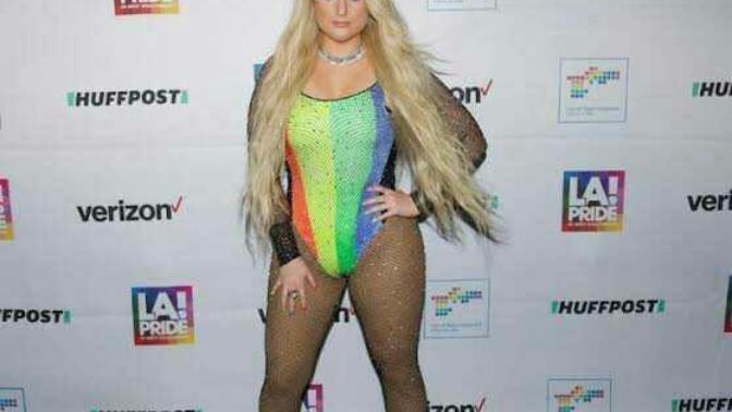 Do you like Meghan Trainors style?