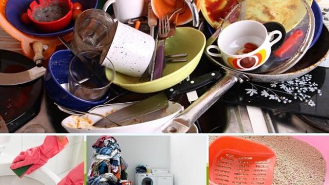 Which household chores do you dislike the most?
