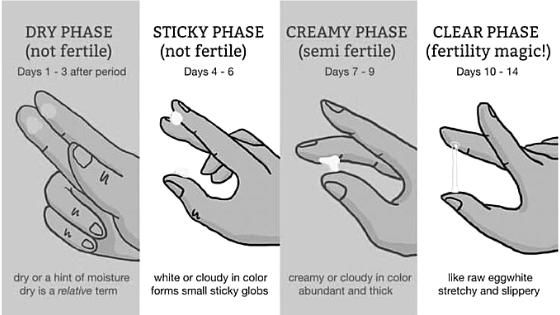 Discharge and fertility [Wuka]