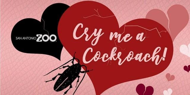Should I get angry at my boyfriend if he doesn't plan anything on Valentines Day?