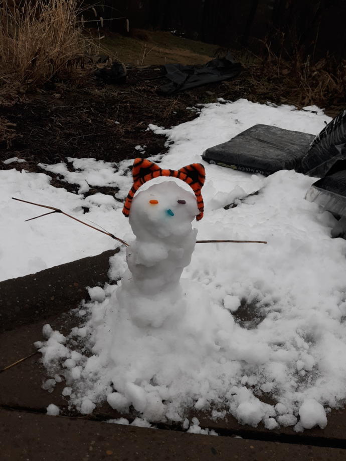 Which snowman is better mine from yesterday or the one I made 8 years ago rate him?