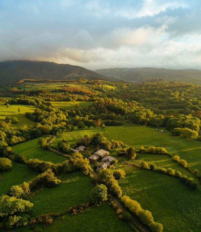 Lush green landscapes