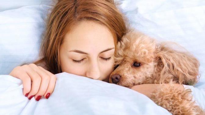 I hate having my girlfriend's dog sleep with us in bed. What can I do?