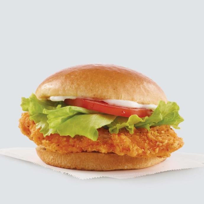 Wendys: Main Menu Part 2: Out of this list what would you order?