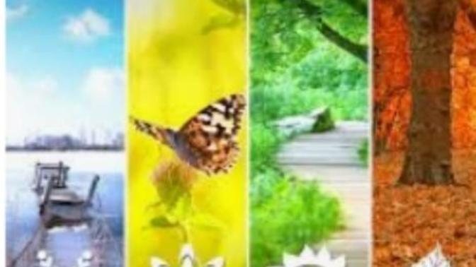 What Is Your Favorite Season Of The Year And Why? And Your Least Favorite And Why?