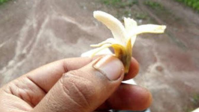 Girls, I have a small banana, If I find love will it be true love?