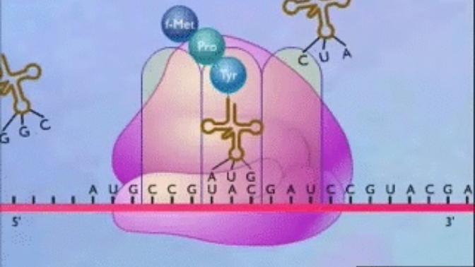 Best non meat protein?