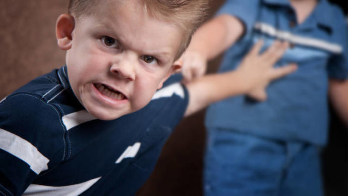 In extreme cases, do you think its okay to give back an adopted child?
