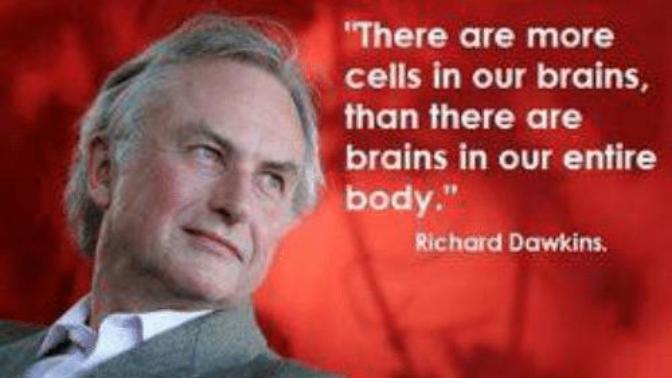 Opinion on atheists?