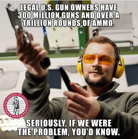 When a mass shooting happens, who do you blame?