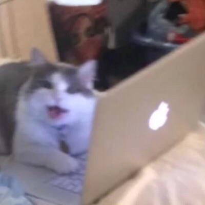 Are there any topics that you believe people should never joke about?