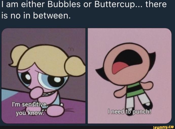 Which of The Powerpuff Girls was your favorite?