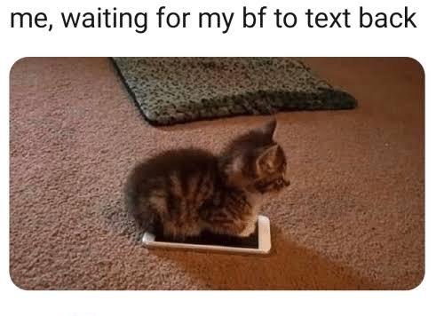 Im in a LDR, and my boyfriend is workaholic. He only thinks about work. I want to spend some time with him. What should I do?