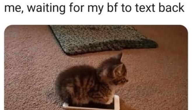 I'm in a LDR, and my boyfriend is workaholic. He only thinks about work. I want to spend some time with him. What should I do?