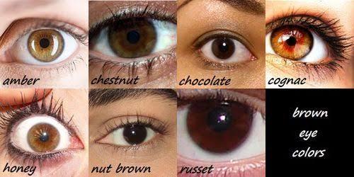 Which tone of brown are my eyes?
