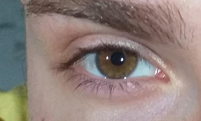 Which tone of brown are my eyes?