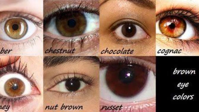 Which tone of brown are my eyes?