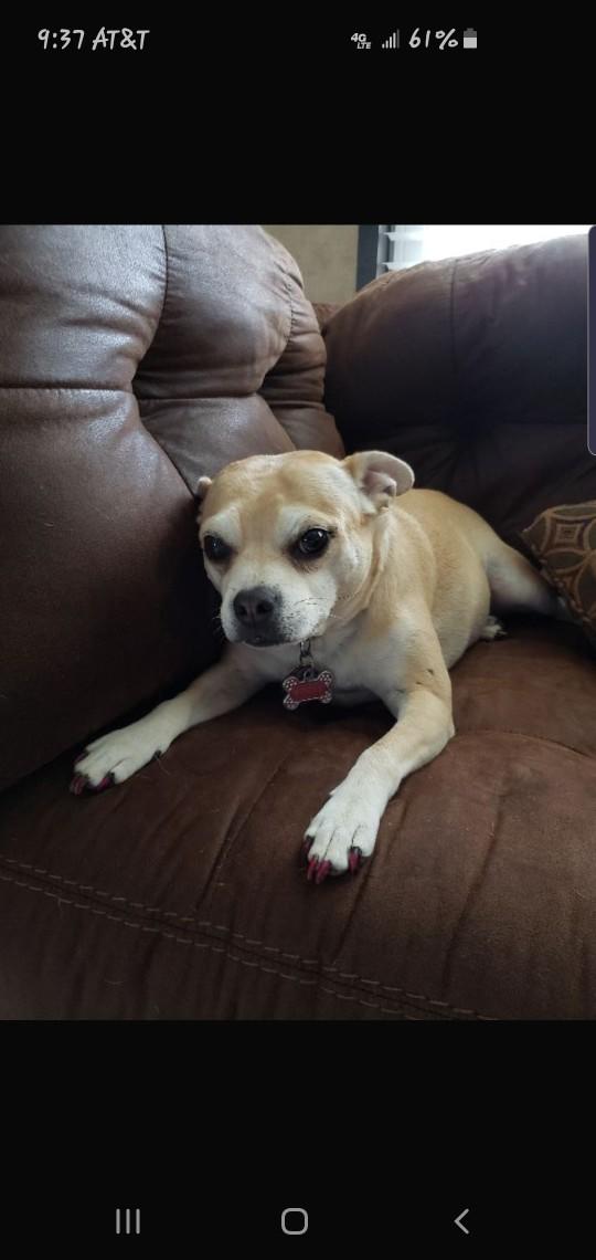 Cuteness Overload: What animal do you think is the cutest?