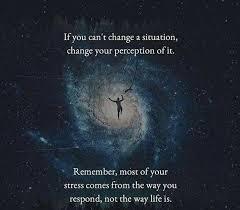 Cuteness Overload: What animal do you think is the cutest?