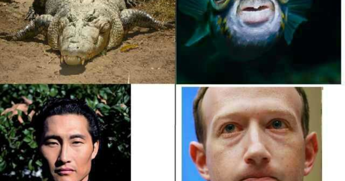 Is it more attractive for a guy to have hunter eyes or prey eyes