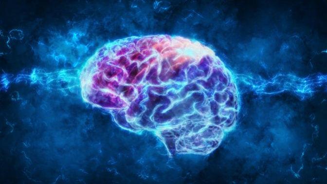 How would you rate your intelligence?