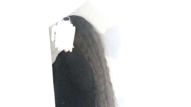 Medium brown curly hair? ( It was 38 inch Like the black - this one I cut. Helped a bit, though I think it still looks a bit “ swamp thing”)?