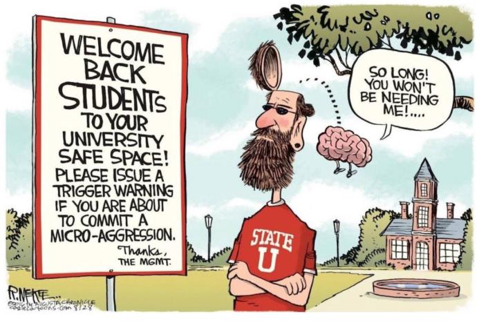 Do you support Political Correctness?