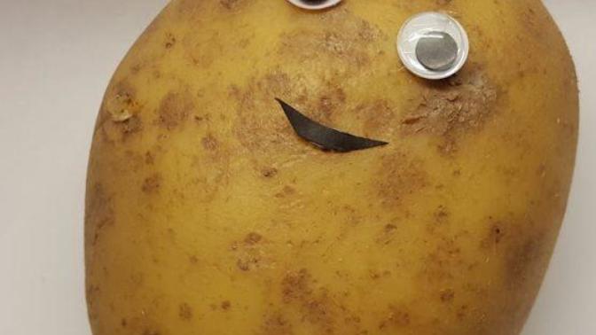 Would you rather look like a potato or feel like a potato?