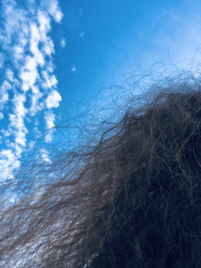 So I did what I shouldn’t. I brushed it. It looked really bad at first now I Really dK. Maybe it settled.. Some angles look OK others 🤢🤢🤢 🤷♀️?