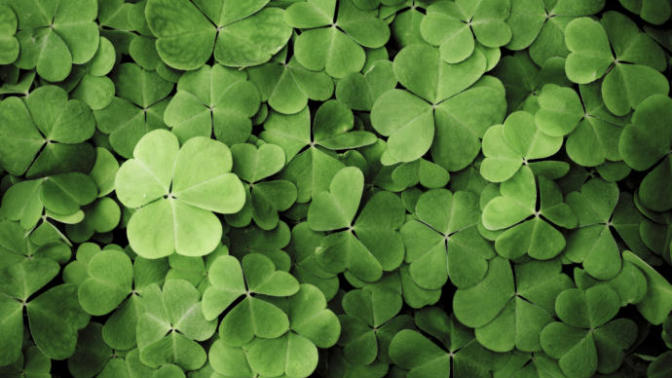 Do you believe in fate/luck, or do we create our own opportunities?