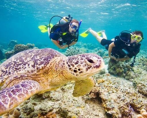 Sky diving or scuba diving?