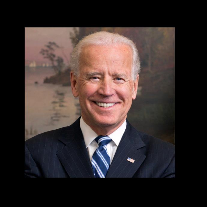Who Will You Be Voting for in 2020?