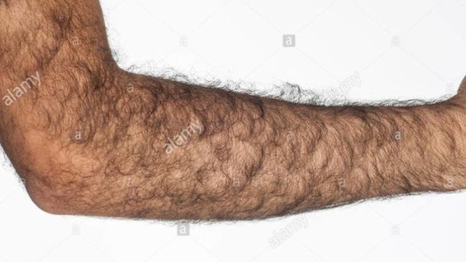 Hairy arms and legs or shaven?