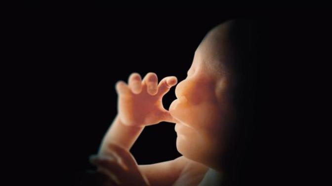 Are abortion laws in place to preserve new life, or is it an attempt by the government to control women's bodies?