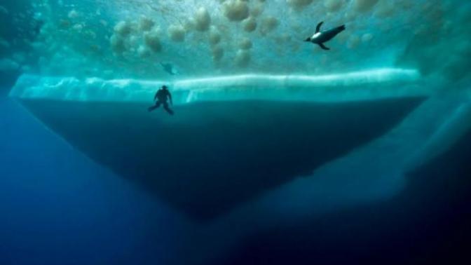 Would you swim underneath a giant sheet of Antarctic ice?