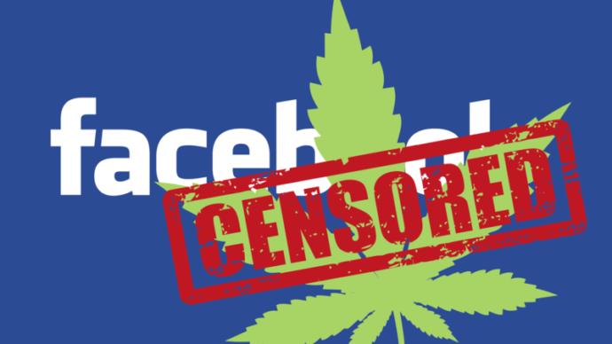 Credits: CannabisNewsBox