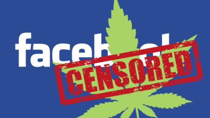 Did You Know That Facebook Is Currently Being Sued By Marijuana Dispensaries?