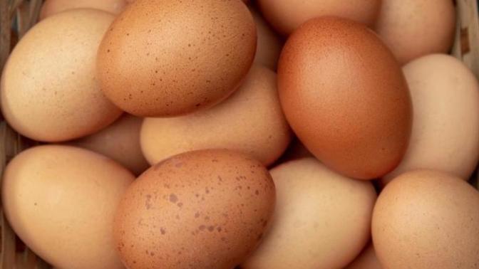 How do you like your chicken ovum?