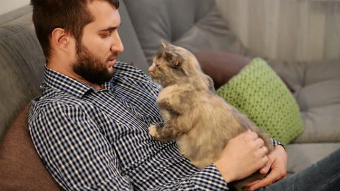 Why is there a difference between single guys who own a cat vs a dog?