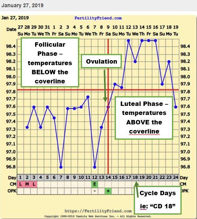 Basic chart 