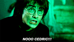 Which Harry Potter House Are You?