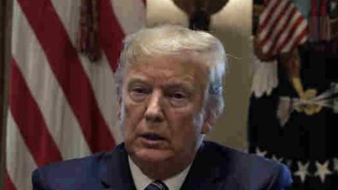 Do you think Trump actually wanted to be president?