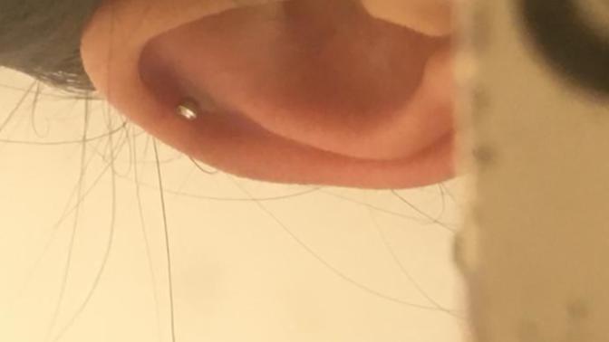 Does it look ok?