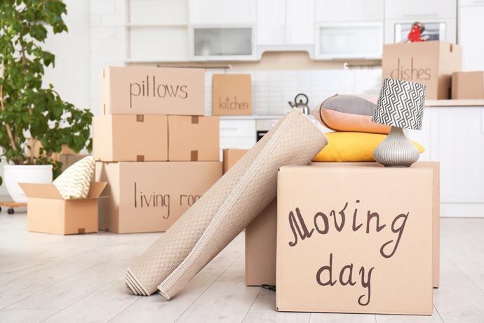 What to do for the move?