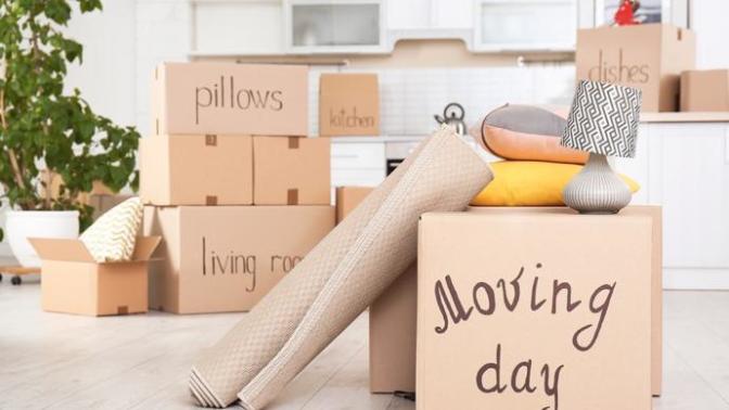 What to do for the move?